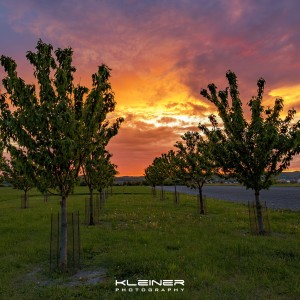 0p5a7912 hdr