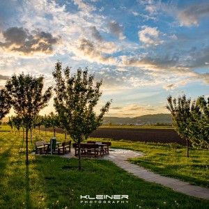 0p5a8000 hdr
