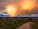 dsc00638
