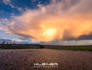 dsc00676
