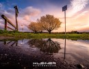 dsc01255