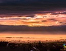 dsc01335