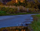dsc02464