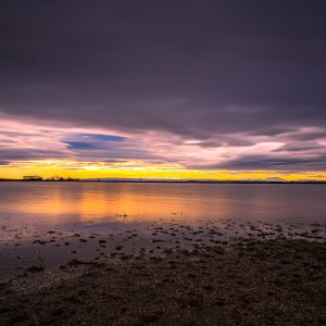 dsc02638